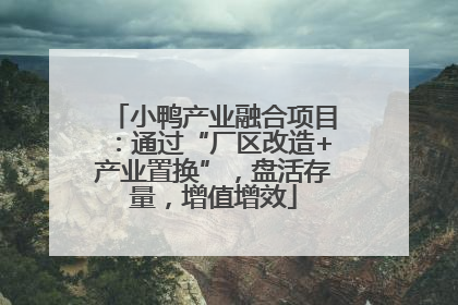 小鸭产业融合项目：通过“厂区改造+产业置换”，盘活存量，增值增效