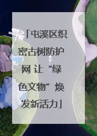 屯溪区织密古树防护网 让“绿色文物”焕发新活力