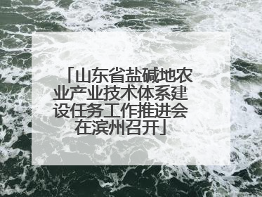 山东省盐碱地农业产业技术体系建设任务工作推进会在滨州召开