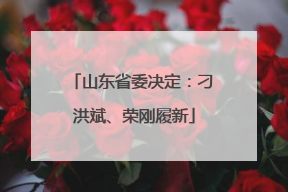 山东省委决定：刁洪斌、荣刚履新