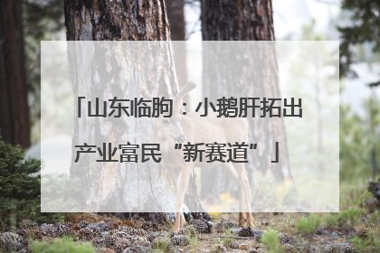 山东临朐：小鹅肝拓出产业富民“新赛道”