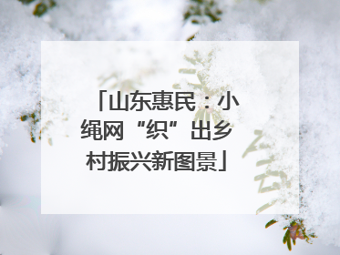 山东惠民：小绳网“织”出乡村振兴新图景