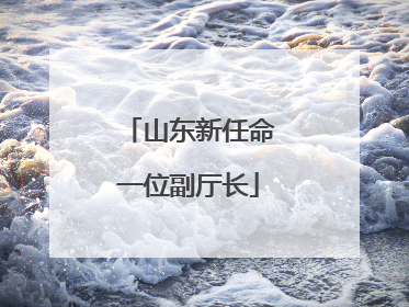 山东新任命一位副厅长