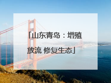 山东青岛：增殖放流 修复生态