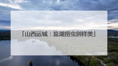 山西运城：盐湖捞虫别样美