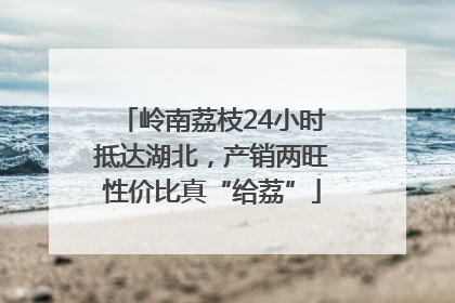 岭南荔枝24小时抵达湖北，产销两旺性价比真“给荔”