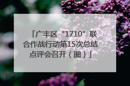 广丰区“1710”联合作战行动第15次总结点评会召开（图）