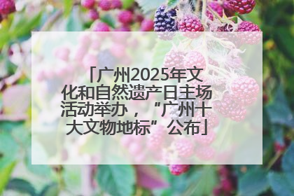 广州2025年文化和自然遗产日主场活动举办，“广州十大文物地标”公布