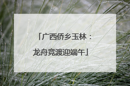 广西侨乡玉林：龙舟竞渡迎端午