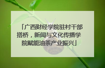 广西财经学院驻村干部搭桥，新闻与文化传播学院赋能油茶产业振兴