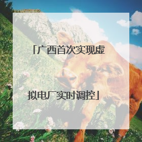 广西首次实现虚拟电厂实时调控