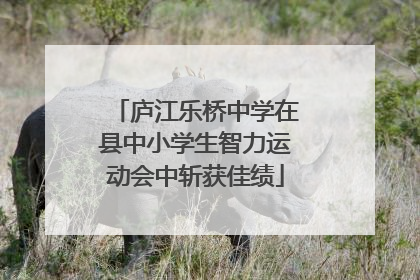 庐江乐桥中学在县中小学生智力运动会中斩获佳绩