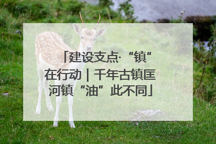 建设支点·“镇”在行动｜千年古镇匡河镇“油”此不同