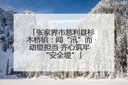 张家界市慈利县杉木桥镇：闻“汛”而动显担当 齐心筑牢“安全堤”