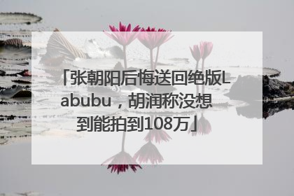 张朝阳后悔送回绝版Labubu，胡润称没想到能拍到108万