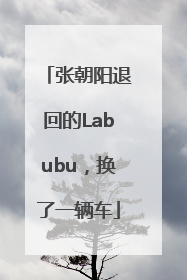 张朝阳退回的Labubu，换了一辆车