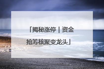 揭秘涨停｜资金抢筹核聚变龙头