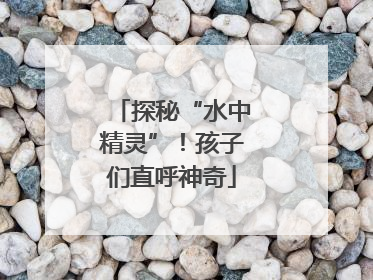 探秘“水中精灵”！孩子们直呼神奇