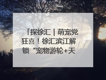 探徐汇｜萌宠党狂喜！徐汇滨江解锁“宠物游轮+天台乐园”双玩法