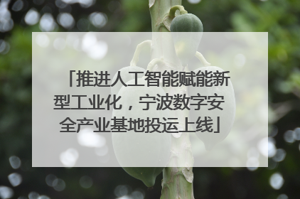 推进人工智能赋能新型工业化，宁波数字安全产业基地投运上线