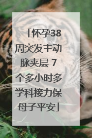怀孕38周突发主动脉夹层 7个多小时多学科接力保母子平安