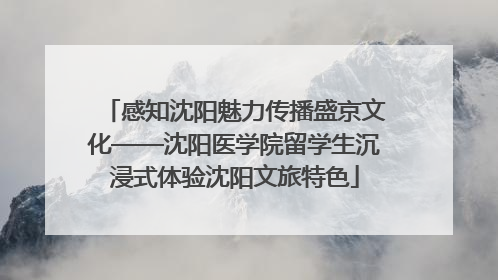 感知沈阳魅力传播盛京文化——沈阳医学院留学生沉浸式体验沈阳文旅特色