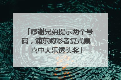 感谢兄弟提示两个号码，浦东购彩者复式票喜中大乐透头奖