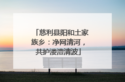 慈利县阳和土家族乡：净网清河，共护溇澧清波