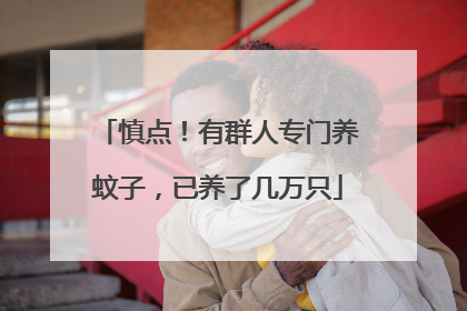 慎点！有群人专门养蚊子，已养了几万只