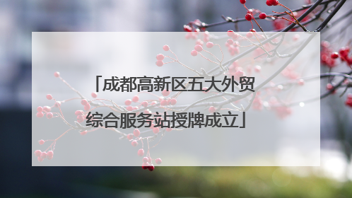 成都高新区五大外贸综合服务站授牌成立