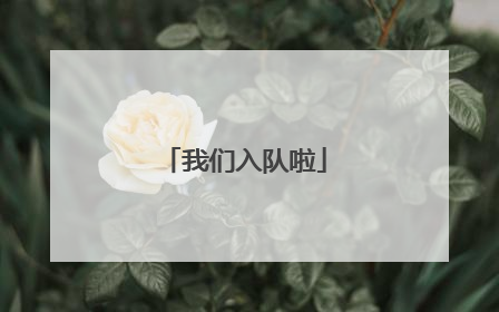 我们入队啦