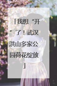 我想“开”了！武汉洪山多家公园荷花绽放