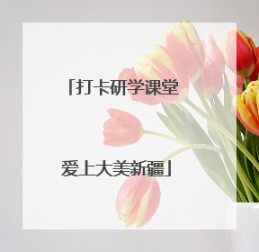 打卡研学课堂 爱上大美新疆