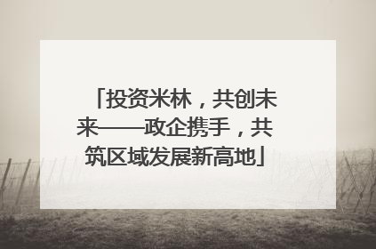 投资米林，共创未来——政企携手，共筑区域发展新高地