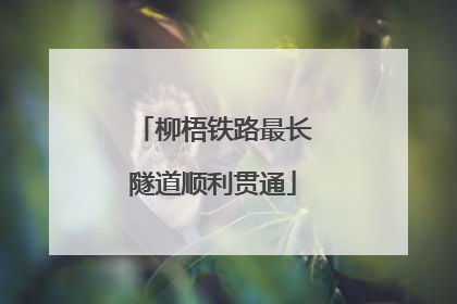 柳梧铁路最长隧道顺利贯通