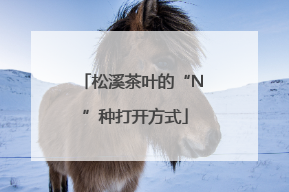 松溪茶叶的“N”种打开方式