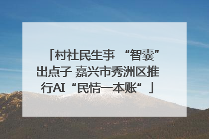 村社民生事 “智囊”出点子 嘉兴市秀洲区推行AI“民情一本账”