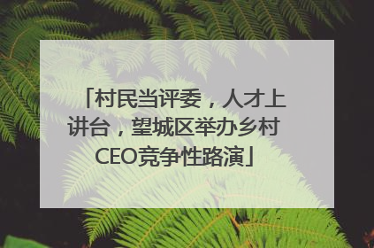 村民当评委，人才上讲台，望城区举办乡村CEO竞争性路演