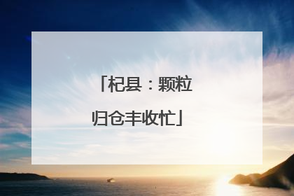 杞县：颗粒归仓丰收忙