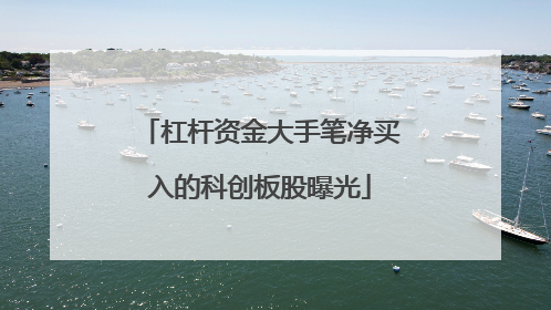 杠杆资金大手笔净买入的科创板股曝光