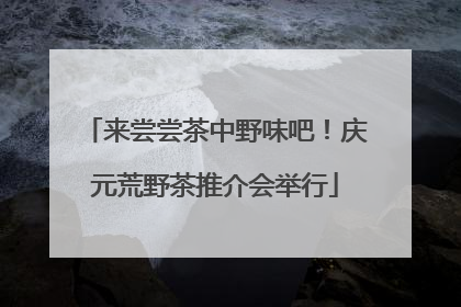 来尝尝茶中野味吧！庆元荒野茶推介会举行