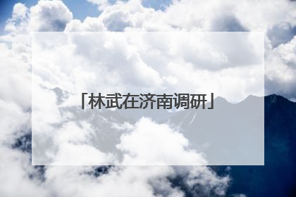 林武在济南调研