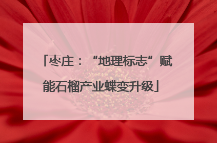 枣庄：“地理标志”赋能石榴产业蝶变升级
