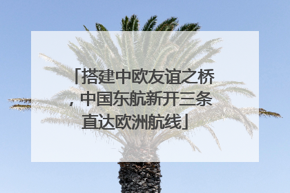 搭建中欧友谊之桥，中国东航新开三条直达欧洲航线