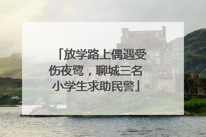 放学路上偶遇受伤夜鹭，聊城三名小学生求助民警