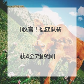 收官！福建队斩获4金7银9铜