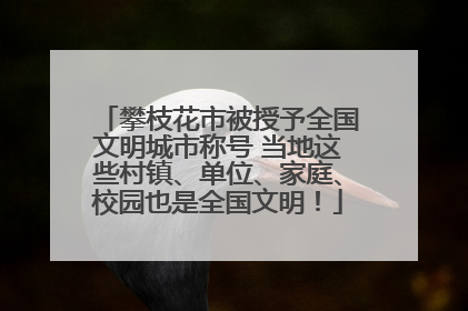 攀枝花市被授予全国文明城市称号 当地这些村镇、单位、家庭、校园也是全国文明！