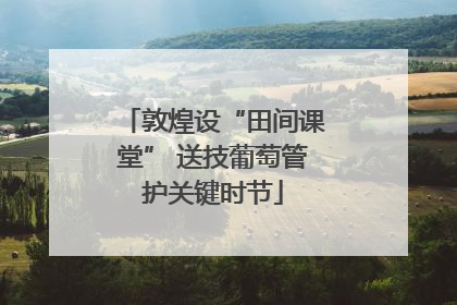 敦煌设“田间课堂” 送技葡萄管护关键时节