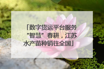 数字货运平台服务“智慧”春耕，江苏水产苗种销往全国