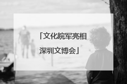 文化皖军亮相深圳文博会